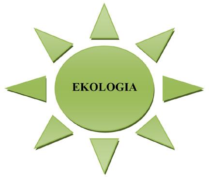 Manifest ekologiczny XXI wieku Agnieszka Romaneczko EDUKACJA BIOLOGICZNA I ŚRODOWISKOWA 2/2014 75 Metody główne: metoda tekstu przewodniego i metoda problemowa; Metody pomocnicze: ćwiczenia językowe,