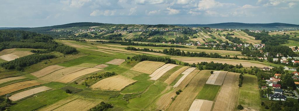 Dostosowanie procesów produkcyjnych oraz uzyskiwanych w ich efekcie wyrobów do standardów