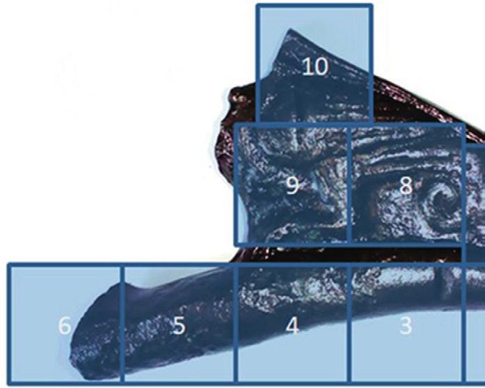 B3, B4, B9 i B10; oprac. Przemysław Niedzielski Fig. 4.