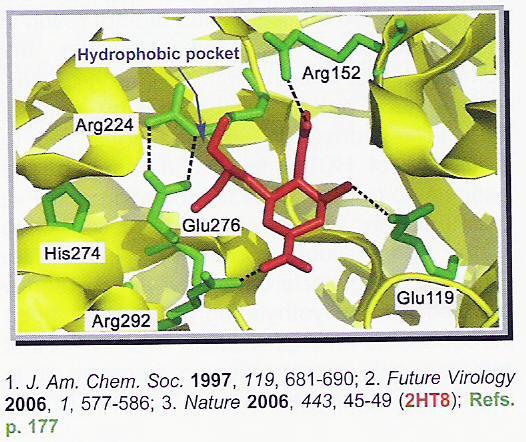 Oseltamivir (Tamiflu ) Inhibitor neuraminidazy II generacji, wirus grypy typu A (ptasia grypa np.