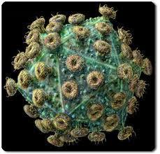 Wystarcza jedna dawka dziennie. Model wirusa HIV Nie wiąże się do Tyr181 i Tyr188.