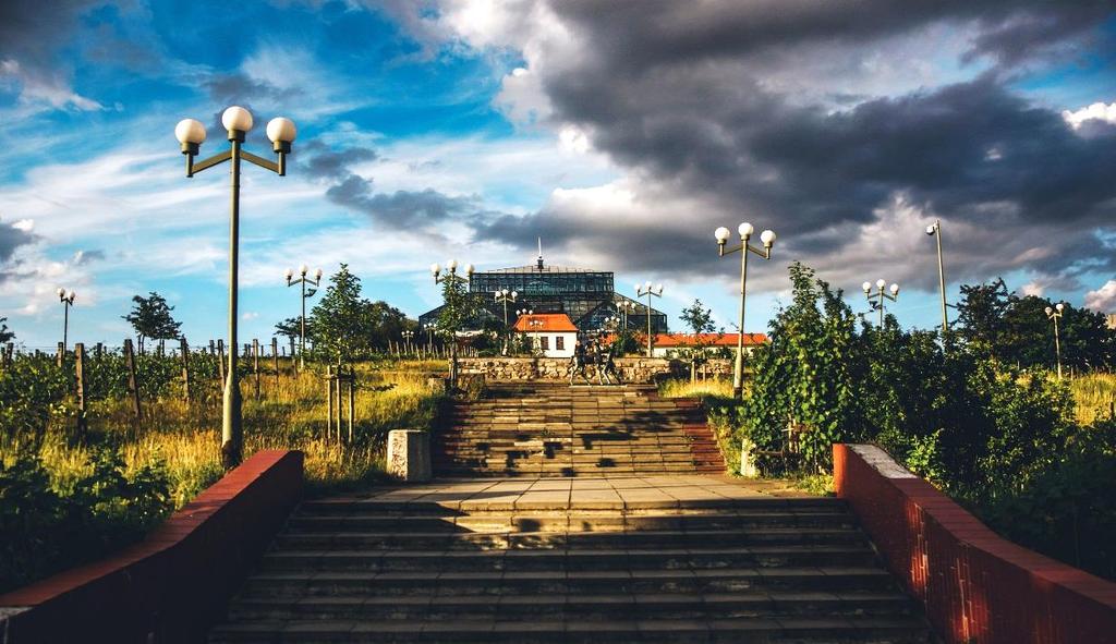 Pierwsza nasza stacja Palmiarnia.