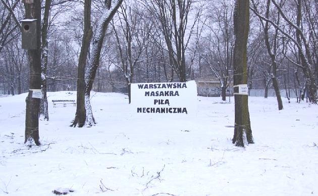Hasła