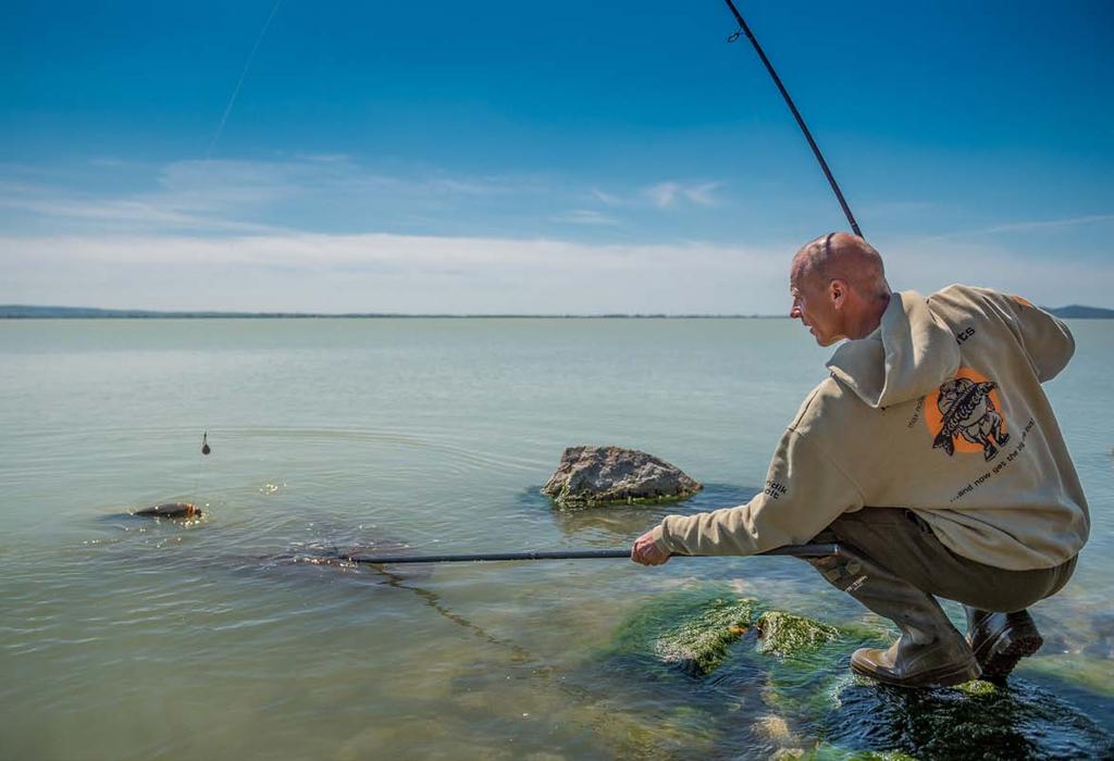 Nasze przynęty są... przyczyną sukcesu już od 14 lat! Jedyne w swoim rodzaju kulki Imperial Baits Carptrack rolujemy z dokładnie tych samych miksów Carptrack.