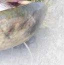 Spin BC 22-23 Silu Vertical BC 22-23 Bait Maker Feeder BC 24-25 Passion Pro DX BC 24-25 Passion