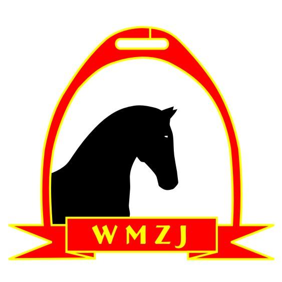 Opracowanie rankingu na