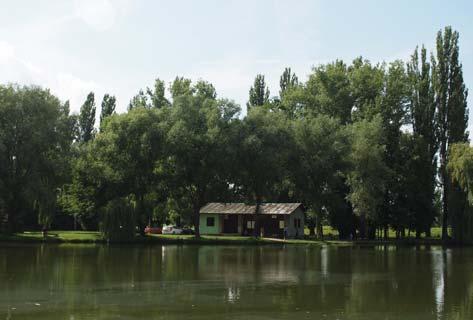 obr.8, 9: Mestský park v Nitre poskytuje pasívny i aktívny oddych pre občanov mesta: Veľká Hangócka kaprový