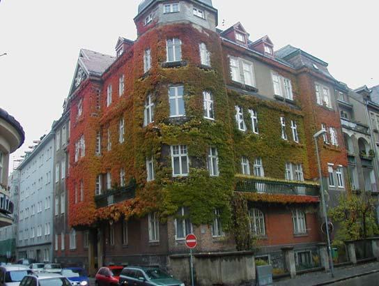 vegetácie, napr.