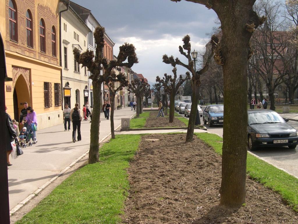 obr. 2: Dvojradová uličná aleja na Námestí Majstra