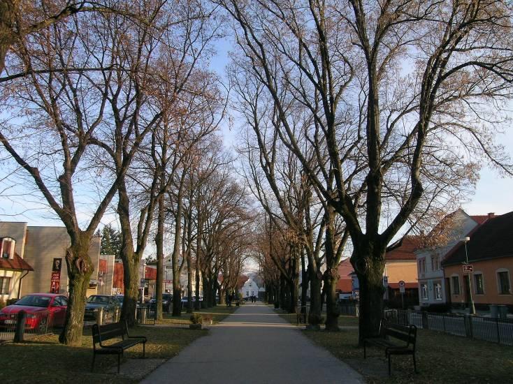 obr. 1a: Bojnice - Staršia dvojitá stromová alej s promenádou uprostred, charakteristický