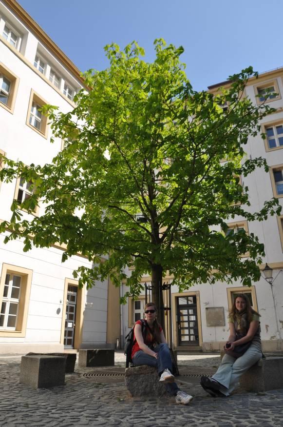 3b: Graz, Rakúsko : Mobilná zeleň v úlohe atraktivity: Na