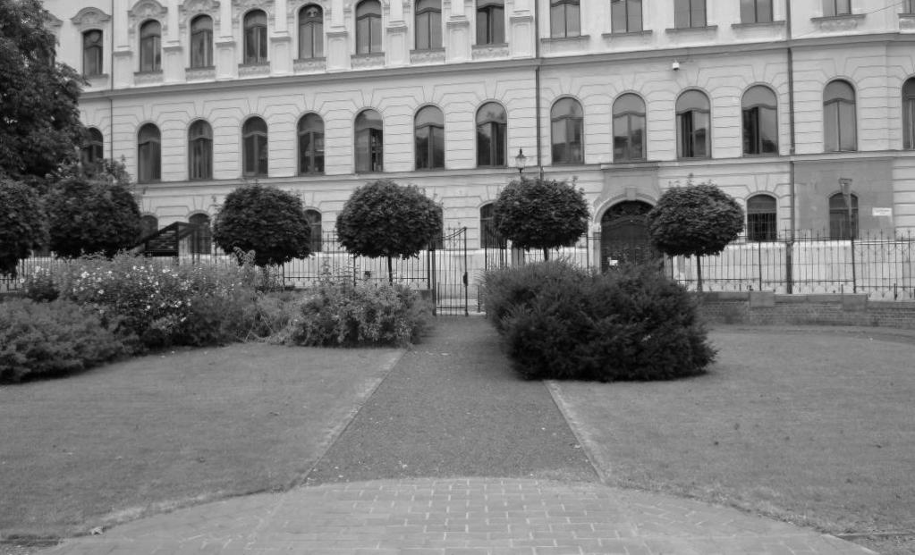 v záhrade nepatrične a rozhodne vyžaduje radikálny zásah. Ako veľmi nevhodné hodnotíme aj umiestňovanie drevených hracích prvkov pre deti, ktoré sa začali v záhrade objavovať v posledných rokoch.
