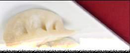 ) Ajinomoto GYOZA PIEROGI Z KACZKĄ チキン