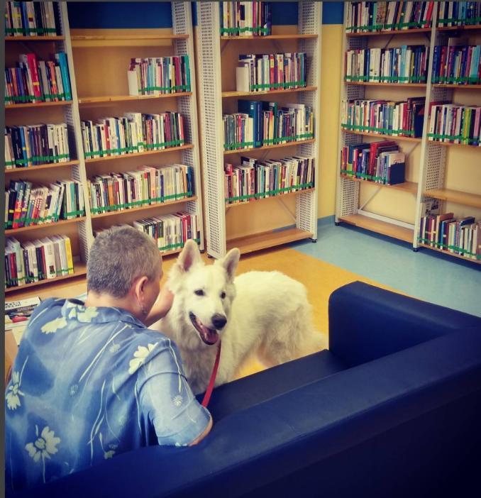 Publikowane tweety to również polecane książki, informacje o zmianach w szkolnictwie, bibliotekarstwie, prawie autorskim, ochronie danych osobowych itp.