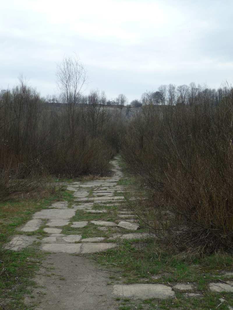 128 Fot. nr 228 (228-230).