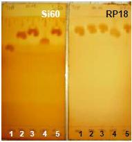 78 Eluent: tetrahydrofuran Mobile phase: tetrahydrofuran E Eluent: dichlorometan Mobile phase: dichloromethane F Rys. 3.