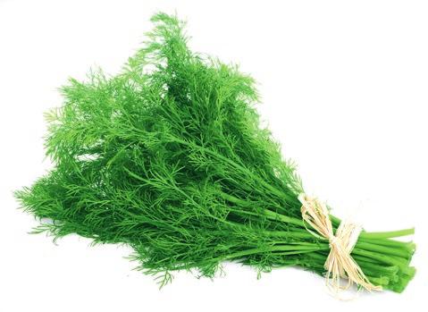 Turcja opak. 6 kg kraj poch.