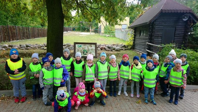Wiemy, że w Afryce jest największa pustynia Sahara, że na sawannach żyją dzikie zwierzęta takie jak lwy, słonie, żyrafy, zebry, antylopy itp. Wiemy również, że sporą część Afryki zajmują dżungle.
