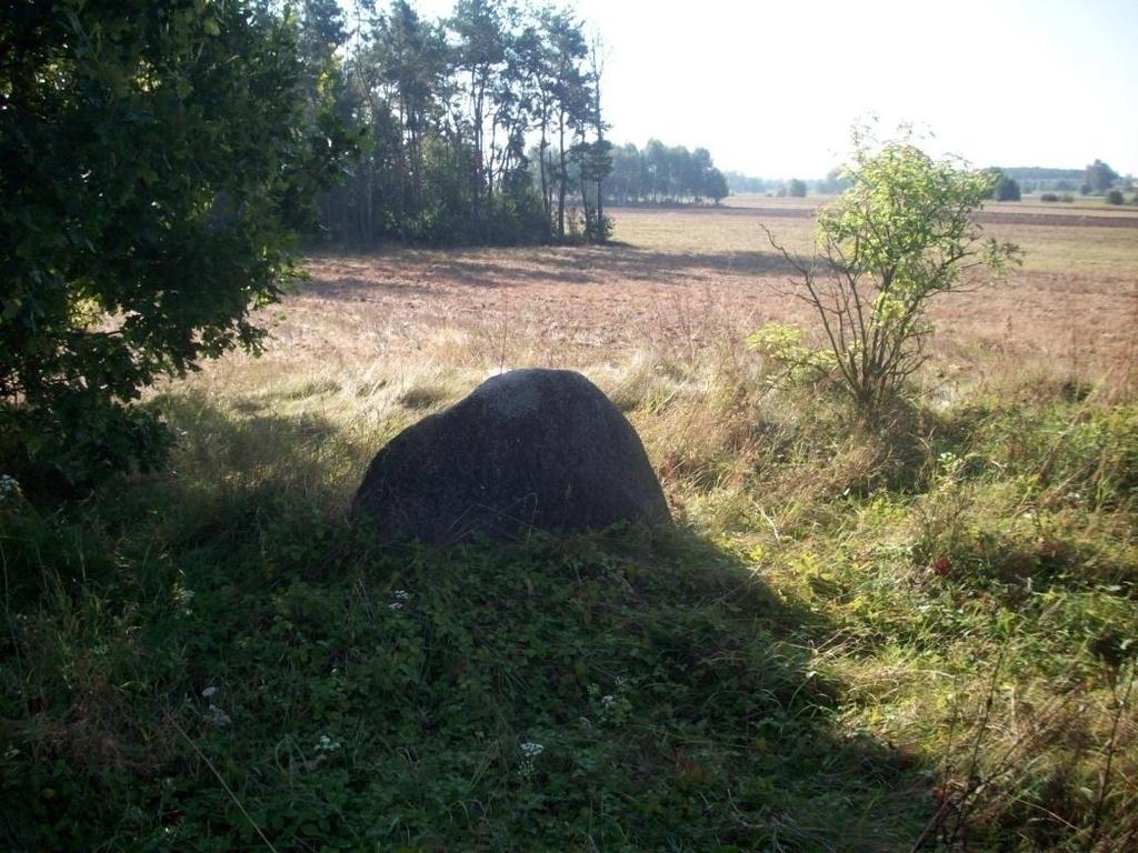 KARTA GMINNEJ EWIDENCJI ZABYTKÓW 14 1. OBIEKT Cmentarz ewangelicki 5. MIEJSCOWOŚĆ Nowe Miasto Folwark Sakralna Kamień 1915 10. ADRES Nowe Miasto Folwark 13. NUMER EWIDENCYJNY DZIAŁKI 350 14.