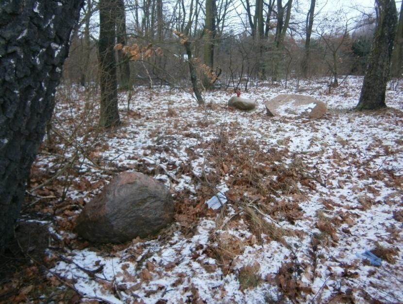 RODZAJ UŻYTKOWANIA Parafia ewangelickoaugsburska Zapis w planie zagospodarowania przestrzennego- brak planu miejscowego - Zgodnie ze studium uwarunkowań i kierunków