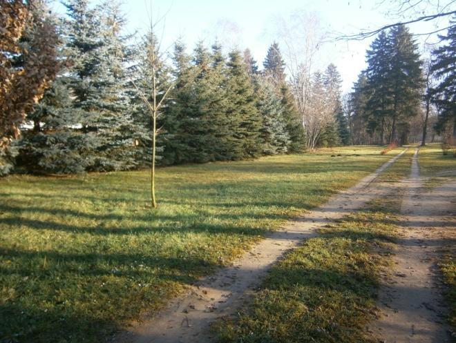 KARTA GMINNEJ EWIDENCJI ZABYTKÓW 5 1. OBIEKT Pozostałości parku podworskiego 5. MIEJSCOWOŚĆ Modzele Bartłomieje Park k. XIX w. 10. ADRES Modzele Bartłomieje 13.