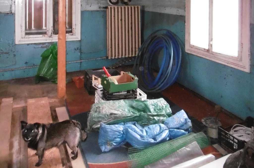 od strony podwórka i jej