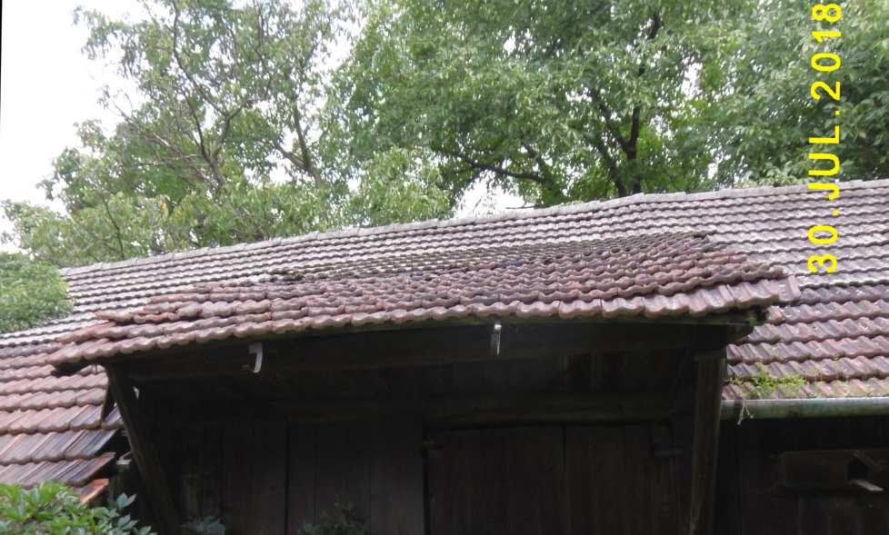 79 Fot. nr 146.