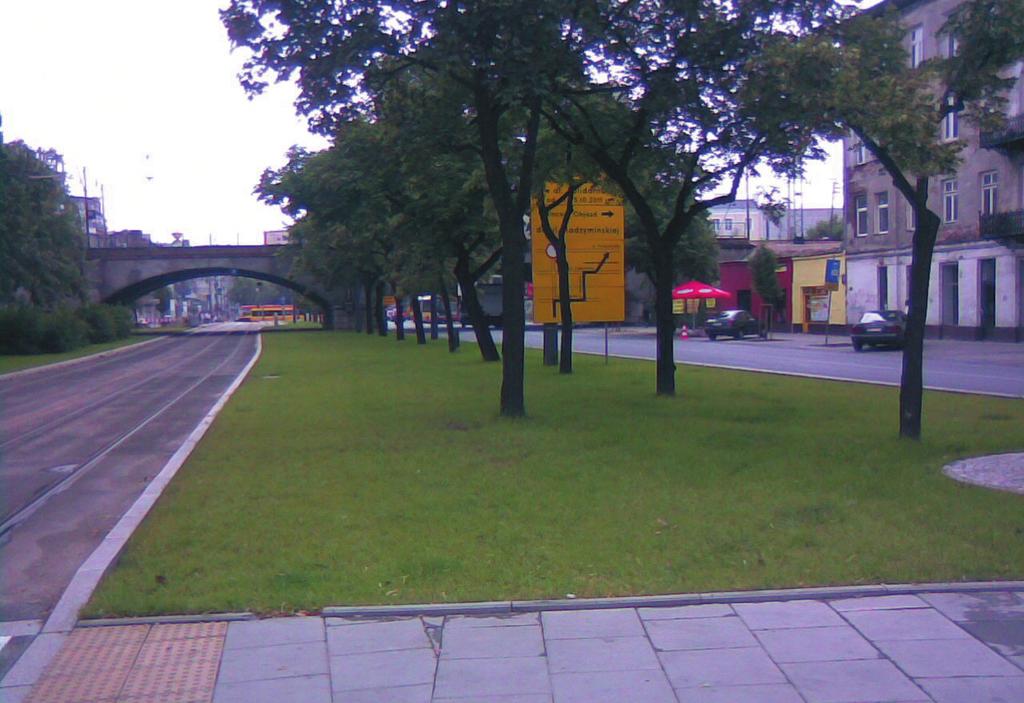 Ocena warunków siedliskowych oraz bariery rozwoju istniejących drzew.