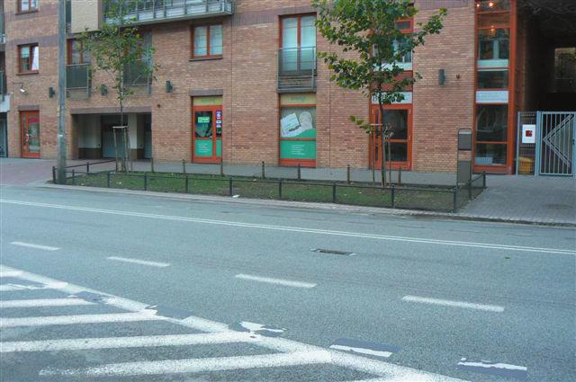 Ocena warunków siedliskowych oraz bariery rozwoju istniejących drzew... Rys. 4.