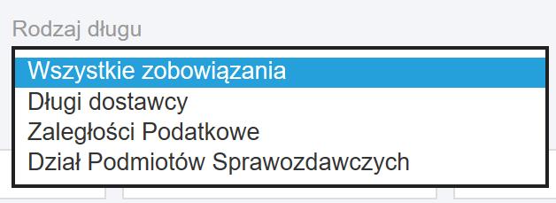 Poziom szczegółowości możesz przygotować jeden z trzech typów raportów: 1) Szczegółowy raport zobowiązania pokazane według faktur 2) Szczegółowy z informacją o banku zobowiązania pokazane według