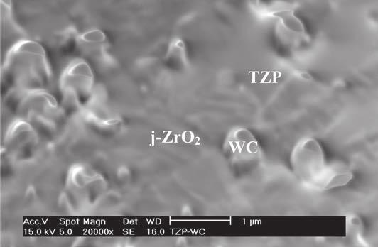 a) Rys. 8. Obraz SEM kompozytu Y-TZP/WC. Polerowanie mechaniczne pastami diamentowymi Fig. 8. SEM micrograph of the Y-TZP/WC composite.