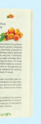 Sprawdź dostępność: 9,90 ZIOŁOWE KURACJE ODTRUWAJĄCE I ODCHUDZAJĄCE W