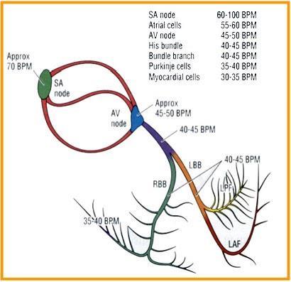 7] [ryc.2] [http://naratunek.elamed.