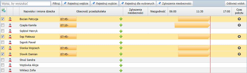 Czerwona pionowa linia przecinająca kolumnę osi czasu, to graficzna prezentacja bieżącego czasu (linia zmienia swoje położenie wraz z upływem czasu).