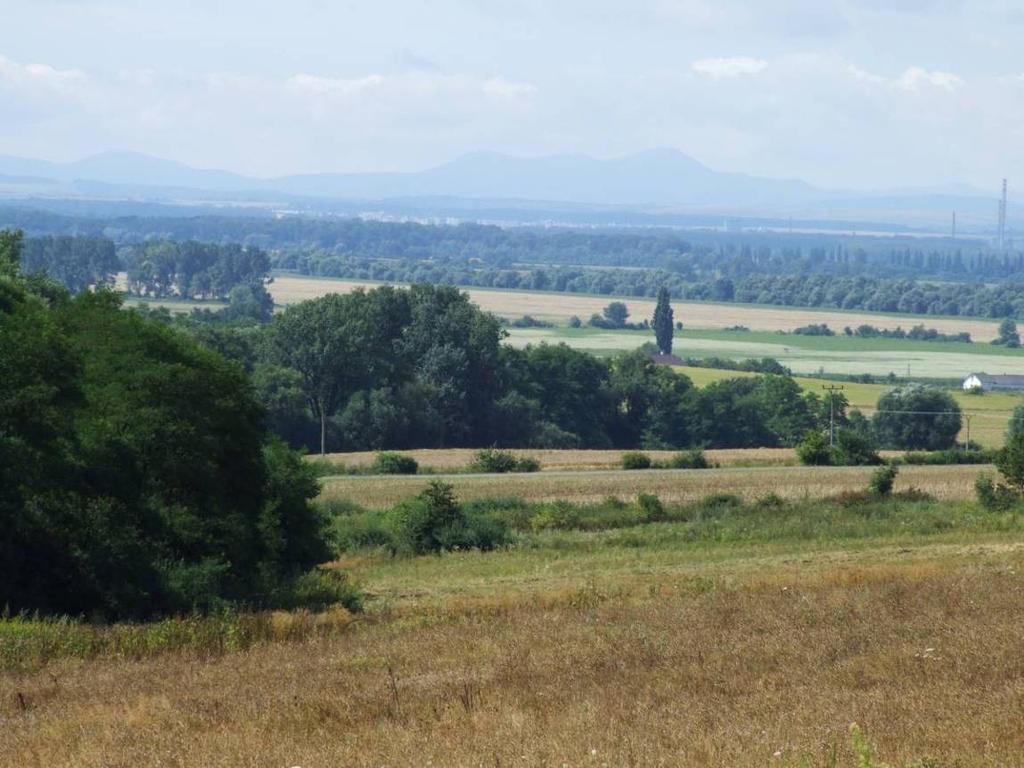 1. 2. Tab. 1. 1. Moravany, okr.