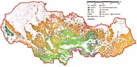 AKTUÁLNE PROBLÉMY V OCHRANE LESA 2011 Zborník referátov z medzinárodnej konferencie, ktorá sa konala 28. a 29.