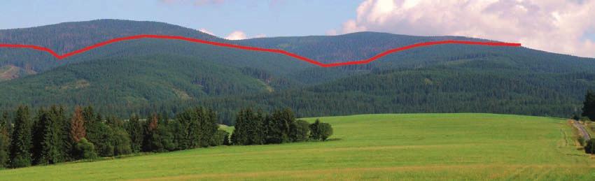 AKTUÁLNE PROBLÉMY V OCHRANE LESA 2011 Zborník referátov z medzinárodnej konferencie, ktorá sa konala 28. a 29.