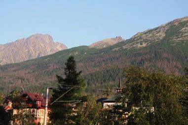 Vývoj hynutia smrečín na Slovensku od roku 2004 Tatranský národný park Medzi najviac postihnuté územia patria smrekové porasty TANAP-u, ktoré zničila a poškodila veterná kalamita z 19. novembra 2004.