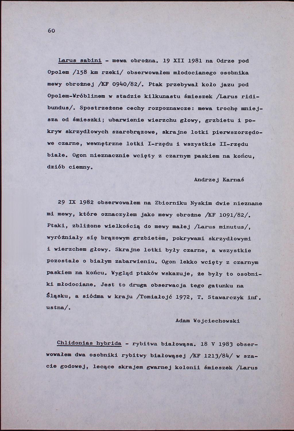 60 Larus sabini - mewa obrotna. 19 XII 1981 na Odrze pod Opolem /158 km rzeki/ obserwowałem młodocianego osobnika mewy obrotnej /KF 0940/82/.
