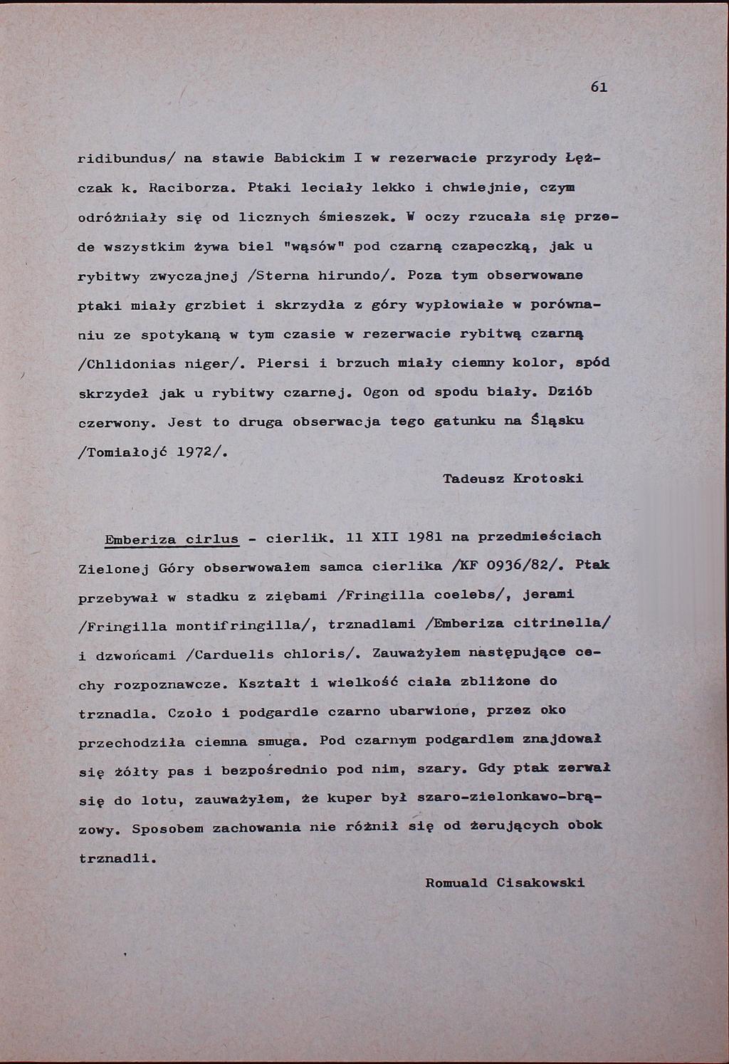 61 ridibundus/ na stawie Babickim I w rezerwacie przyrody Lężczak k. Raciborza. Ptaki leciał y lekko i chwiejnie, czym odróżniał y się od licznych śmieszek.