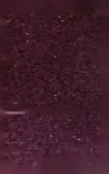 w nim Dąbrowski miał kancelaryą, bagaże, żonę. Tam Dybek opatrywał rannych, tam widziałem tych, co nie chcieli być rannymi. Generałowćj wyrazy męża dosłownie opowiedziałem.