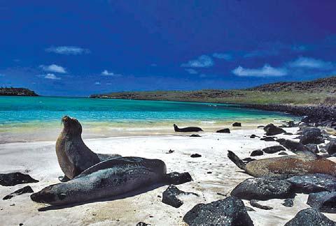 W skład Ekwadoru wchodzą także położone na Oceanie Spokojnym Wyspy Galapagos archipelag wysp pochodzenia wulkanicznego na Oceanie Spokojnym, na wysokości równika, około 960 km na zachód od wybrzeża