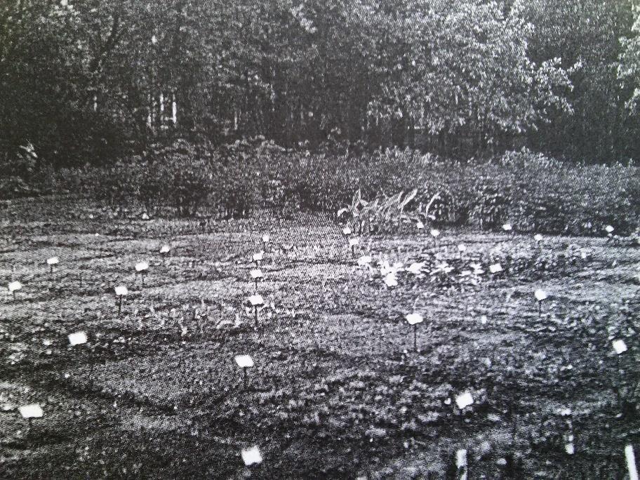 W latach siedemdziesiątych XX wieku wieku zaplanowano, że w Ogrodzie powstanie kolekcja ekotypów traw w celu badań naukowych; ponieważ powierzchnia Ogrodu okazała się zbyt mała, podjęto decyzję o