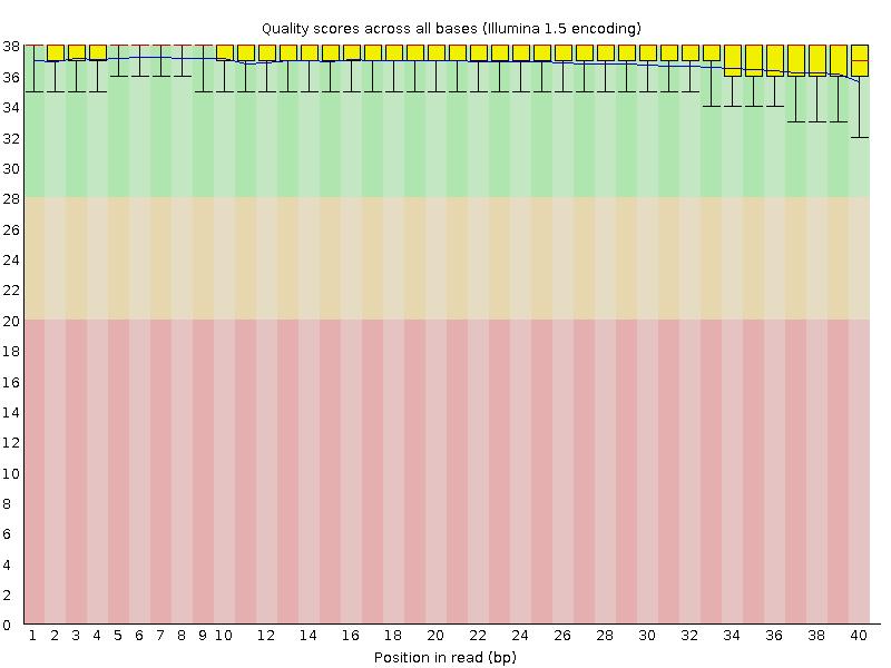 Per base sequence quality Jakość dla każdej pozycji Mediana Wykres pudełkowy Max/min
