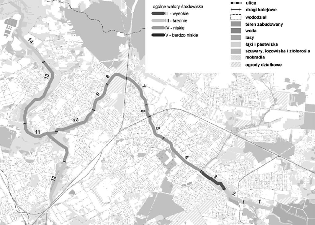 zmienionych przez człowieka, z dużym udziałem gatunków obcych geograficznie. Ich wynikiem jest skolonizowanie niektórych płatów zbiorowisk doliny Białej przez inwazyjne kenofity.