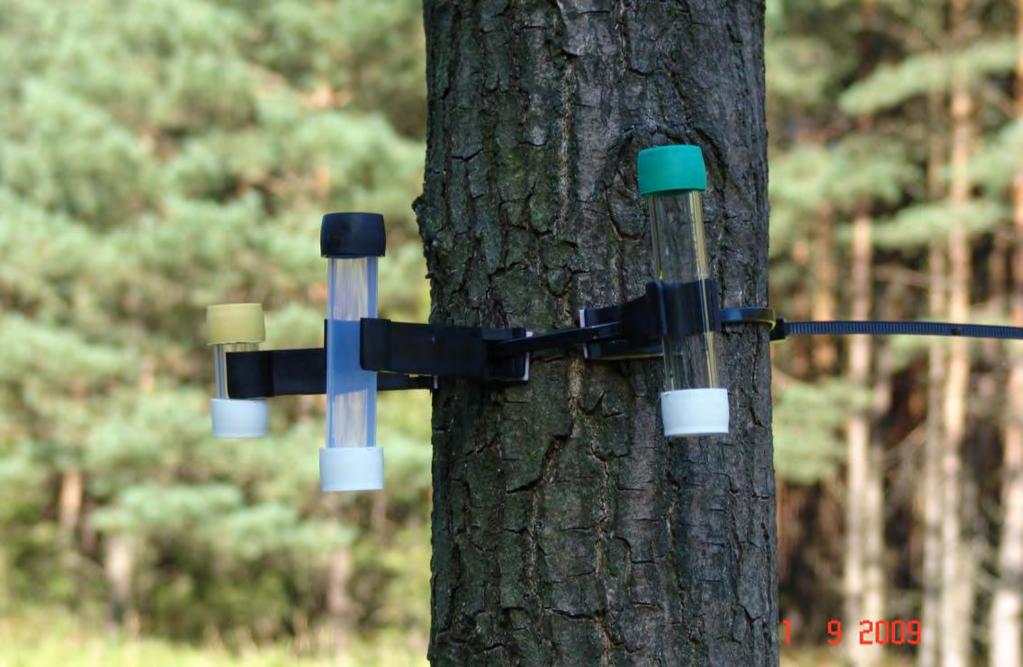 Tabela 1. Terminy rozpoczęcia pomiarów jakości powietrza, roztworów glebowych i depozytu mokrego na 12 powierzchniach monitoringu intensywnego Nr Data rozpoczęcia badań LP Nadleśnictwo pow.