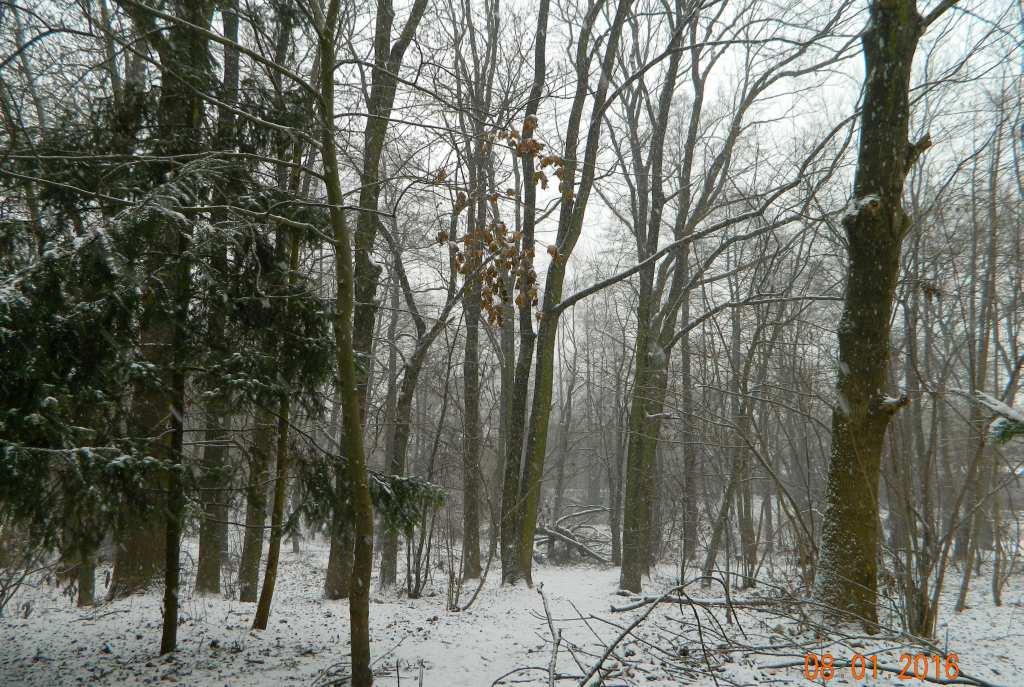 gospodarczych (od strony ulicy