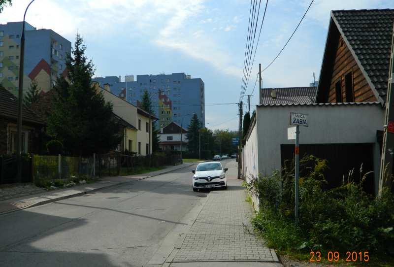 49 Fot. nr 81.