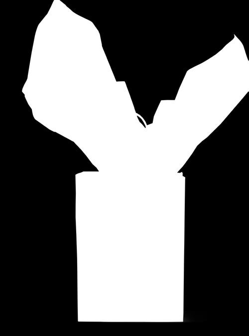 Maź 