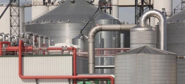 skrobiowy produkcja słodzików Biopaliwa bioetanol i biodiesel